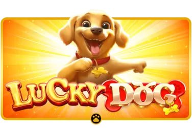 vpi55 live casino online dealer sungguhan